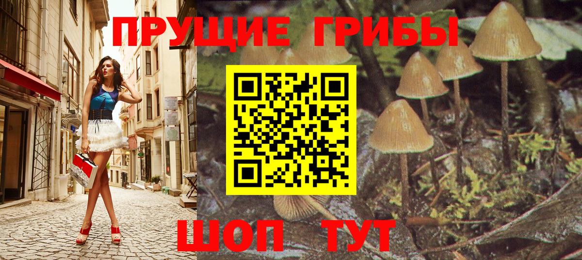 Галлюциногенные грибы мицелий Красный Сулин
